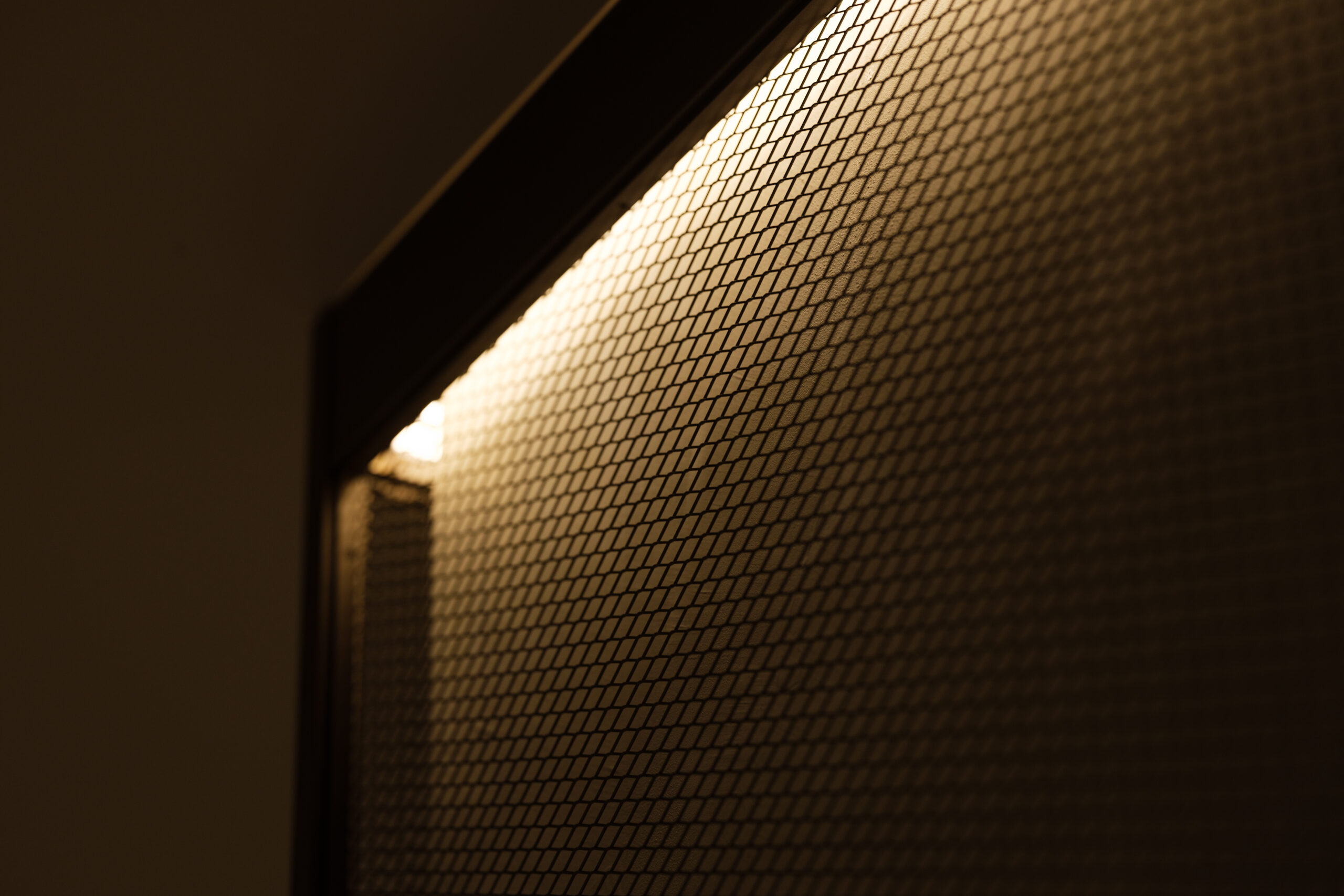 photo009